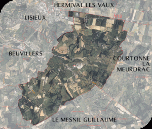 orthophotoplan